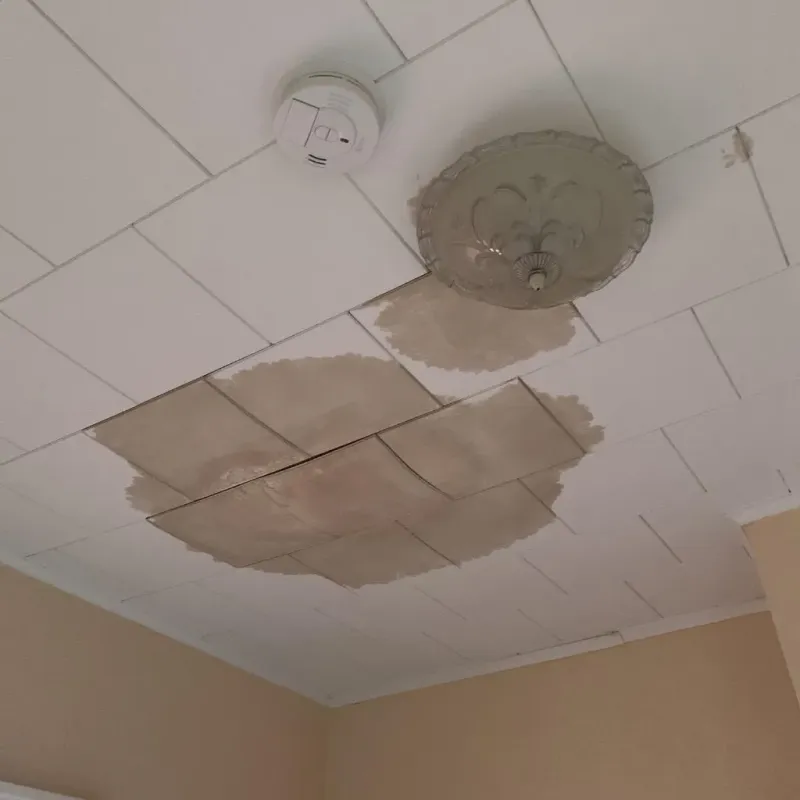 Ceiling Water Damage Repair in Gothenburg, NE