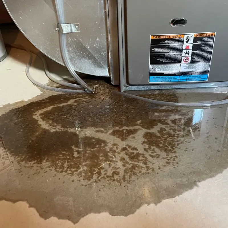 Pipe Burst and Leak Restoration in Gothenburg, NE