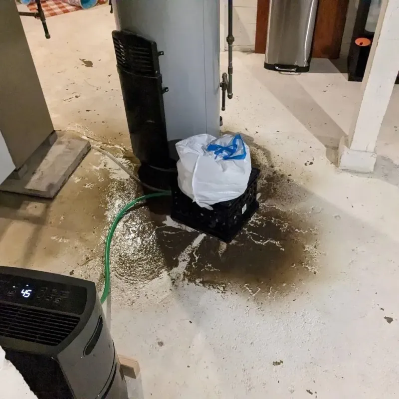 Sewage Backup Cleanup Service in Gothenburg, NE